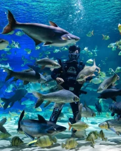 Angkor Wildlife & Aquarium