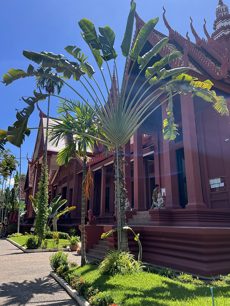 National Museum Voyager Tree