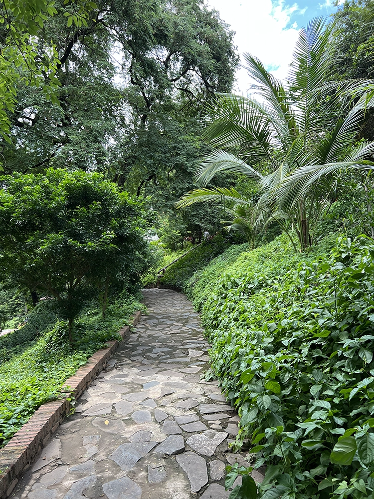 Wat Phnom Walk way garden