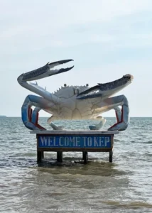 Blue Swimmer Crab Statue
