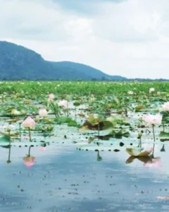 Kamping Puoy Reservoir