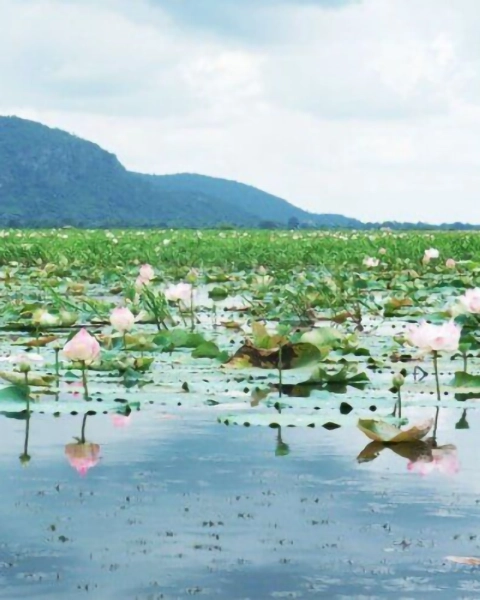 Kamping Puoy Reservoir