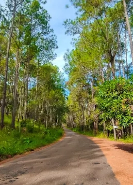 Kirirom National Park