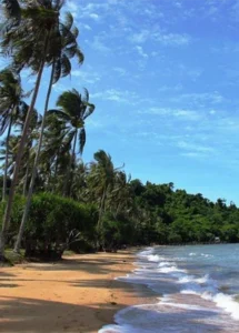 Koh Tonsay (Rabbit Island)