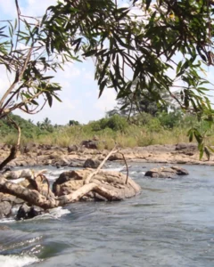 Sek Sak Thmei Resort