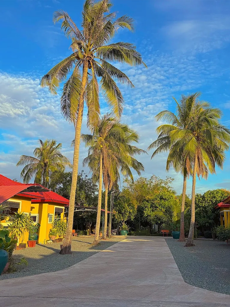 Coconut Village Guesthouse and Bungalow