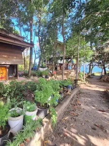 Dragonfly Guesthouse