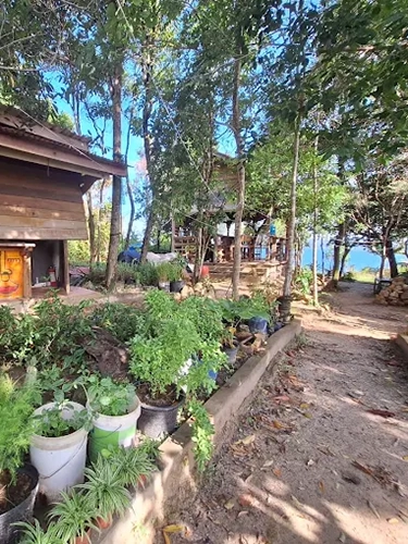 Dragonfly Guesthouse