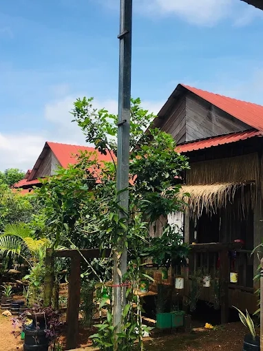 Ratanakiri FarmHouse and Trekking