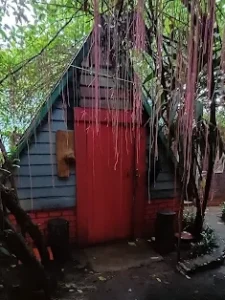 Ratanakiri Homestay & Jungle Trek