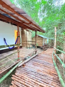 Sweet Jungle Bungalows & Restaurant