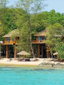 Tree House Bungalows