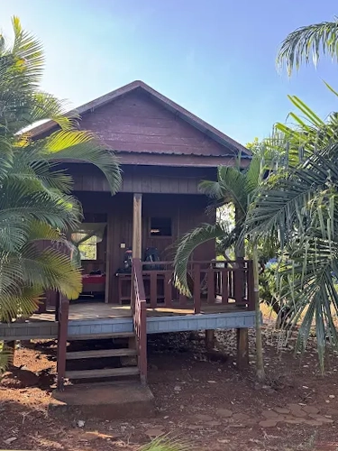 Tree Trails Homestay & Offers Jungle Trekk-Scooters For Rental