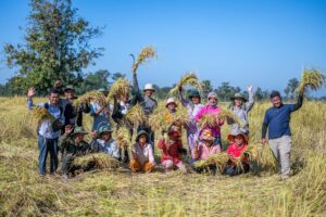 What is the main crop in Cambodia?